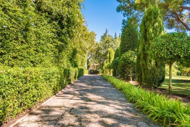 Peace & Tranquility, Sotogrande, Spain (Adults Only) Eksteriør billede