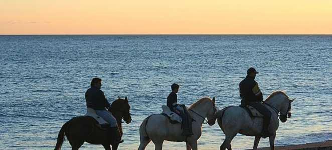Peace & Tranquility, Sotogrande, Spain (Adults Only) Eksteriør billede